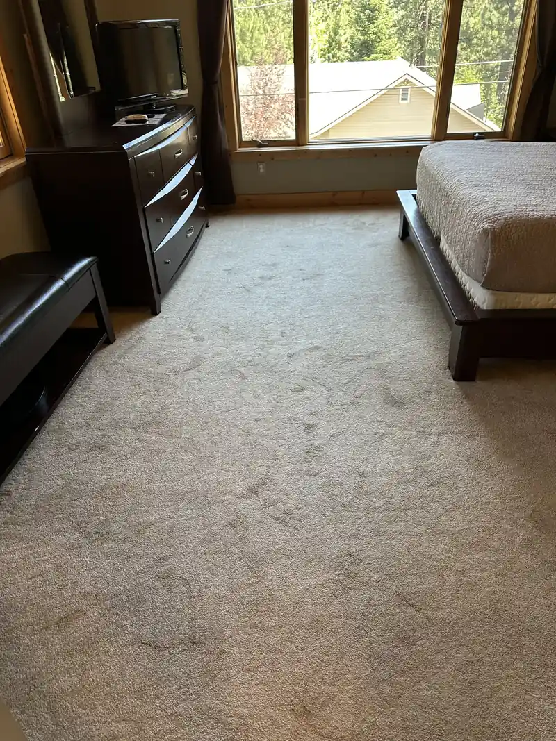 Carpet beside a bed and dresser before cleaning, with visible traffic marks